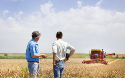 TS UE i NSA: małżonkowie mogą być podatnikami VAT, gdy przekazują sobie towary